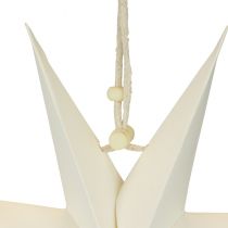 Weihnachtssterne Fenster, Papiersterne Weihnachten, Faltstern Ø20cm 4St