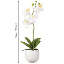 Artikel Weiße Orchidee Kunstblumen im Keramiktopf, pflegeleichte Dekoration, Höhe 33cm