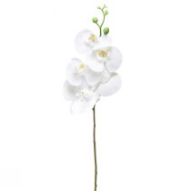 Weiße Orchidee Künstlich Phalaenopsis Real Touch 85cm