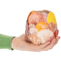 Artikel Glas-Teelichthalter 12 cm mit echten Muscheln für Innenbereiche