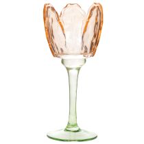 Artikel Teelichthalter Glas Tulpenform 20cm Innenbereich Dekoration