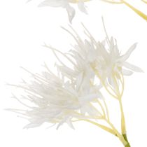 Artikel Künstlicher Deko-Zweig mit weißen Blüten für vielseitige Raumdekoration, 75 cm