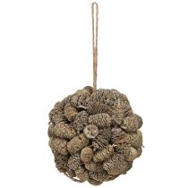Artikel Zapfenkugel aus weißen Erlenzapfen zum Hängen 12cm