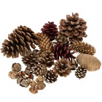 Artikel Zapfenmix Natur 400g, 2-10cm, Nadelholz und Zypresse für Floristik und Dekoration