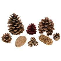 Artikel Zapfenmix Natur 400g, 2-10cm, Nadelholz und Zypresse für Floristik und Dekoration
