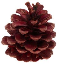 Artikel Zapfenmix Natur 400g, 2-10cm, Nadelholz und Zypresse für Floristik und Dekoration