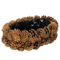 Artikel Pflanzschale Oval aus Tannenzapfen 30 cm Naturbraun