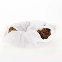 Artikel Pflanzschale Oval aus Tannenzapfen 30 cm Naturbraun