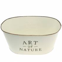 Artikel Blumenschale oval Zink 27×18cm H12,5cm Verschiedene Farben