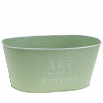 Artikel Blumenschale oval Zink 27×18cm H12,5cm Verschiedene Farben