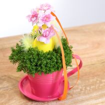 Artikel Deko-Tassen aus Metall mit Untersetzern für kreative Bepflanzung, Set à 6 Stück, rosa, 11 cm
