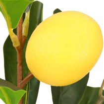 Artikel Zitronenbaum im Topf Künstlich Deko-Pflanze Grün Gelb 28cm