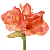Artikel Künstliche Amaryllis in Orange, Täuschend Echte Optik, L55cm, 2er-Set