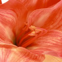 Artikel Künstliche Amaryllis in Orange, Täuschend Echte Optik, L55cm, 2er-Set