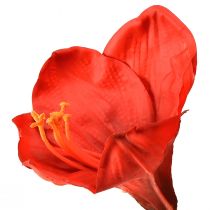 Artikel Künstliche Amaryllis in leuchtendem Rot – Elegante Blütenpracht für luxuriöse Raumdekoration, 66 cm