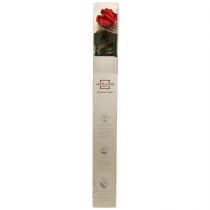 Artikel Infinity Rose mit Blättern Konserviert Amorosa Rot L54cm
