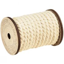 Artikel Baumwollkordel Deko Kordel Creme Ø6mm Je 5m 2St