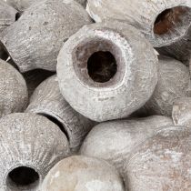 Artikel Bellgums weißgewaschen 2cm - 5cm 500g