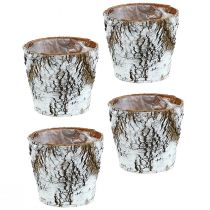 Artikel Birkentopf mittel Pflanztopf Birke Weiß Ø12cm H10,5cm 4 St