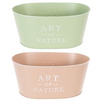Artikel Blumenschale oval Zink 27×18cm H12,5cm Verschiedene Farben