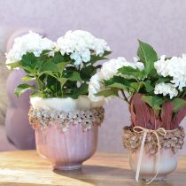 Artikel Blumentopf Keramik Blütenrand zart rosa 19cm H16,5cm dekorativ