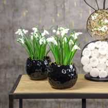 Artikel Blumentopf Keramik Ei Schwarz Pflanztopf Schwarz Ø12cm 2St