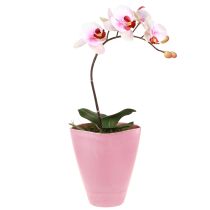 Artikel Blumentopf Plastik Vase Pink Orchideen Deko H16,5cm 4St