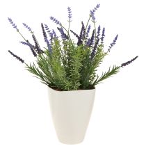 Artikel Blumentopf Plastik Orchideentopf Weiß 16,5cm 4er Set für Floristen