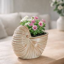 Artikel Keramik-Blumentopf Schneckenform 21cm – Stilvolle Pflanzendekoration für Innen und Außen