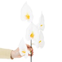 Artikel Calla am Draht klein Weiß 50St