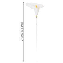 Artikel Calla mittel am Draht 50 St