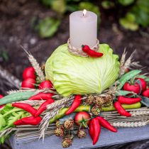 Artikel Feurige Deko-Chilischoten Rot 9cm – Täuschend Echtes Kunstgemüse im 3er-Set