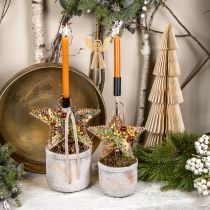 Artikel Christbaumschmuck, Adventsdeko, Stern-Anhänger Golden B15cm 8 St