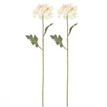 Artikel Chrysanthemen Künstlich in Creme, Elegante Dekoblumen für Innenräume und Events, 72cm, 2er-Set