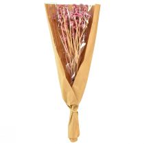 Artikel Künstliches Currykraut Immortelle Pink L28cm - Täuschend echte Deko-Blumen