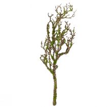 Artikel Künstlicher Deko Ast mit Moos, Herbstdeko in Grau-Grün, L78cm