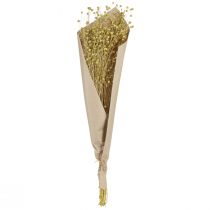 Artikel Deko Flachs Getrocknet in Olivgrün 50g – Natürliche & Nachhaltige Trockenblumen