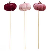 Artikel Deko Kürbis aus Stoff am Stab in Burgund und Rosa Ø7cm 9er-Set