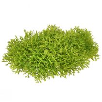 Artikel Deko Moos künstlich Grün – Moospolster Set in 10/12/14cm für Floristik und kreative Raumgestaltung