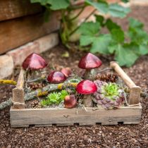 Artikel Deko Pilz Rot Groß Glas Herbstdekoration Ø14cm H23cm