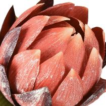 Artikel Deko Protea Kunstblumen Rotorange 34cm 3St Hochwertige Dekoration für Floristen