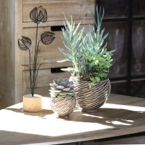 Artikel Deko Schale Blumentopf Keramik Beige Braun Ø15cm für Floristen