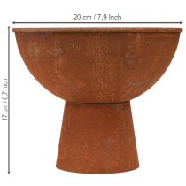 Artikel Deko Schale Rost Metall Ø20,5cm 2er Set Vintage Garten Pokalschale
