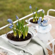 Artikel Deko Schüssel Metall Weiß Schwarz Ø20,5cm 3St Vintage Stil, Tischdekoration