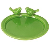 Artikel Deko Teller Vogeltränke Keramik Grün 20,5cm Set 2 Stück Tischdeko Frühling