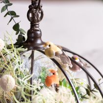 Artikel Dekovögel bunt mit Draht 5 cm Kunststoff Echte Federn 18er-Set Frühlingsdeko