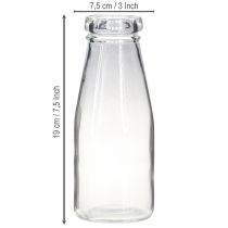 Artikel Glasflasche Vase dekorativ transparent Ø7.5cm H19cm