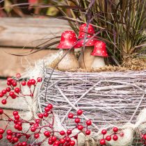 Artikel Fliegenpilz Deko Pilze Holzpilze Herbstdeko H6/8/10cm 3er-Set