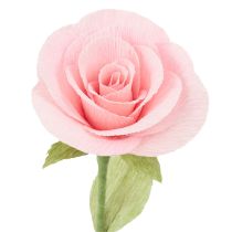 Artikel Floristen-Krepppapier Rosa 50x250cm