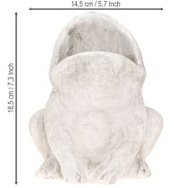 Artikel Frosch Deko Pflanztopf Beton Grau Antik-Look für Garten & Balkon 18,5cm